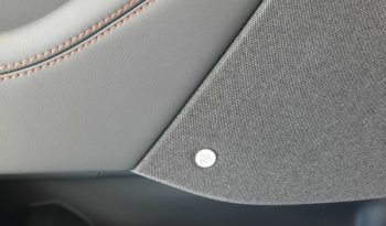 Ford Mustang Mach-E completo